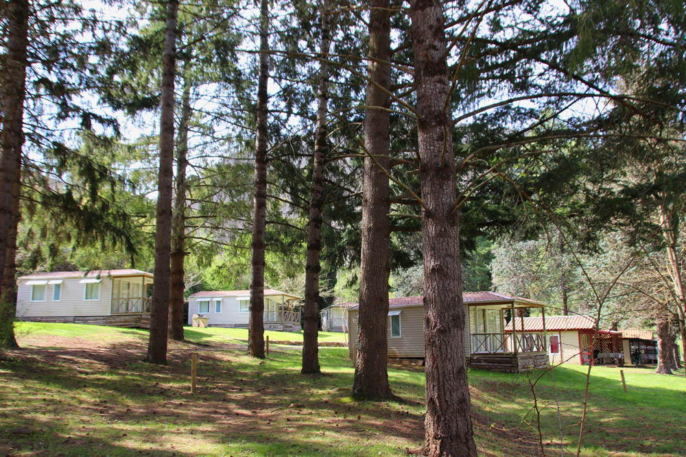 camping bis